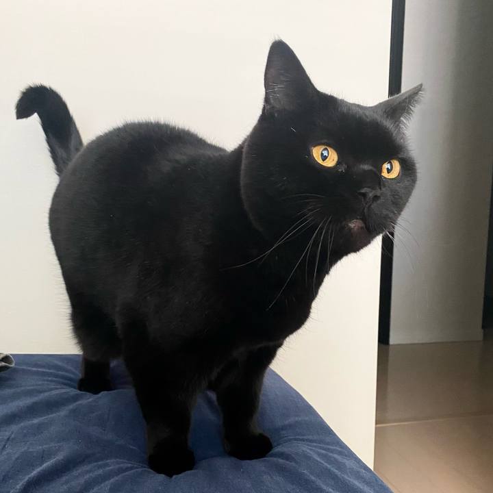 C6891f29 2698 4441 8597 aed1843f2368 1741641553836