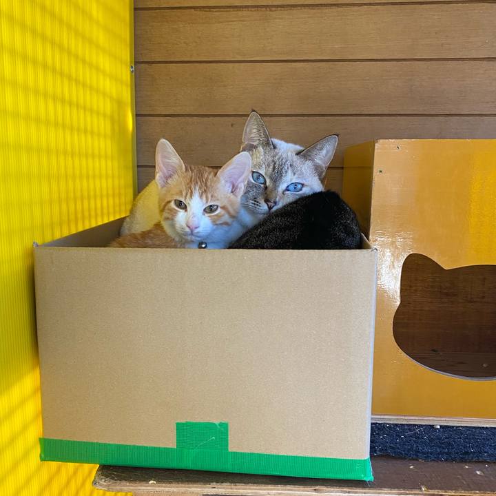 C6892a6f a3c2 4544 9048 2090cd21ebcb 1668557224363