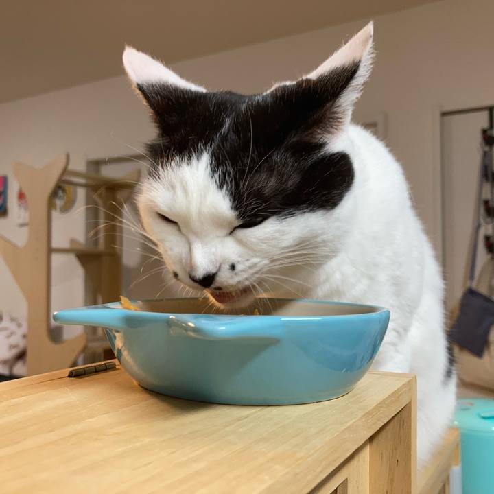 C6895e14 29fb 4d8e 914e c437dc2b9848 1763498756946