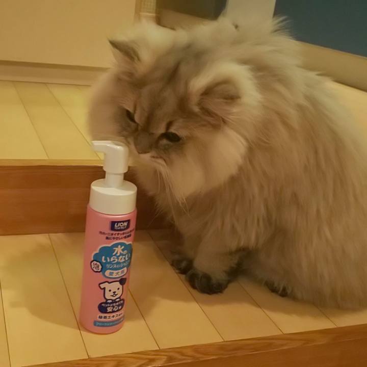 C68963a4 746b 4a28 8fdf 4251e8433462 1579508062035