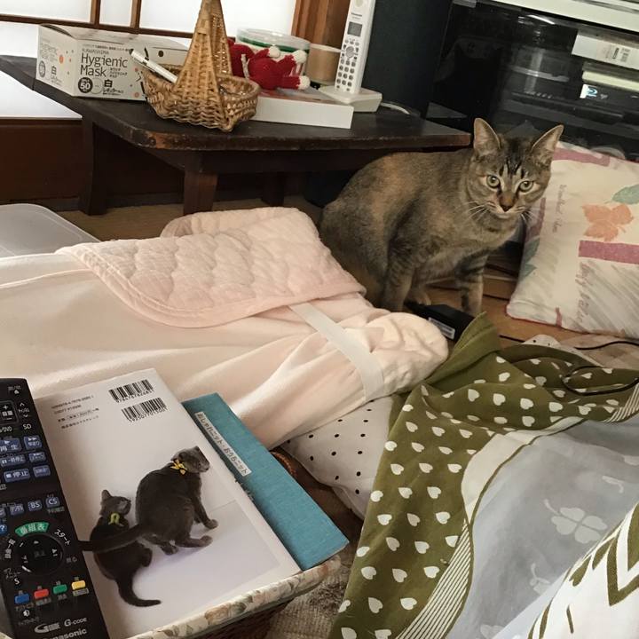 C68973ea 0b37 4aa0 b18e e62fc8d348c2 1581636165773