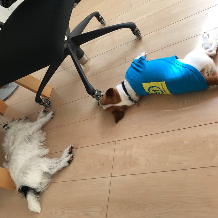 C68980ab 43ae 45a5 a558 f1ab42846de8 1528090106365