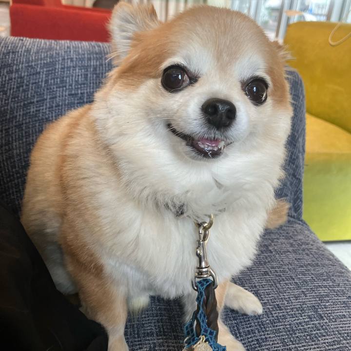 C689ee99 777a 4c60 b452 b7d60575a2a5 1761730847028