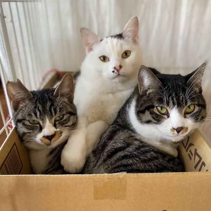 C68a3387 2e05 4ce7 8b21 af0fb1593888 1705463032672