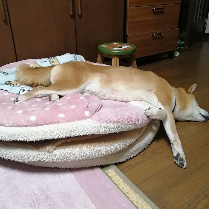 C68a48bf e430 4392 9842 f81e8b8217e0 1681304482765