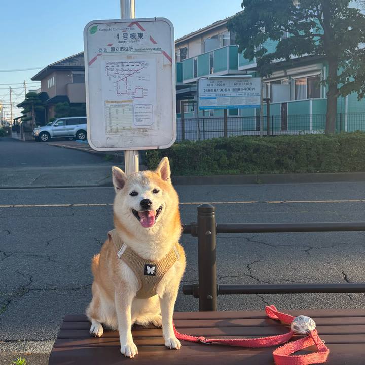 C68a7da5 a3c8 4775 aada 49f5ef880fcf 1750193629010