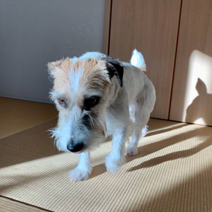 C68aa005 a89b 4343 87d9 e1e86fdab1c7 1674301656484