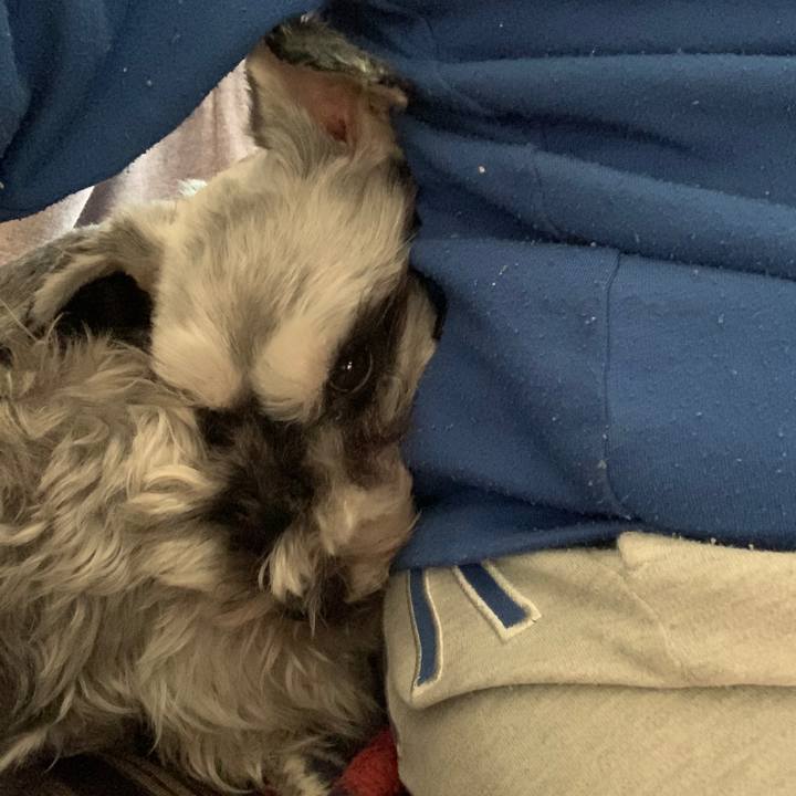 C68acca7 b270 4f4f 8f66 dc5d147c8960 1607383368654