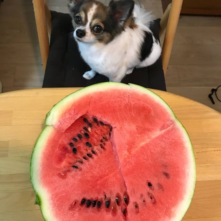 C68ad533 b4ef 4967 b610 148ae9227758 1533897574381