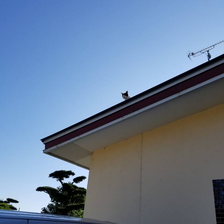 C68ada22 8632 4307 85ac 8303a2aa5dc7 1631111183041