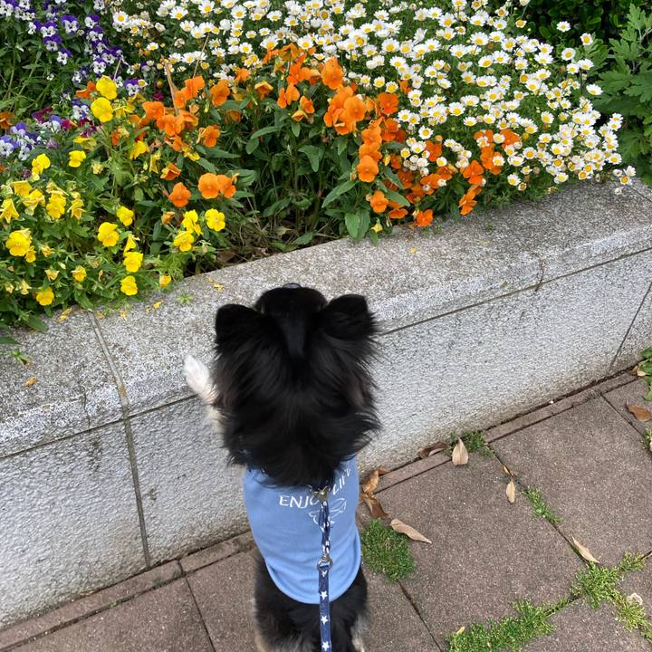 C68add2d 99cf 48be 9783 aceb72964a5c 1652611071389