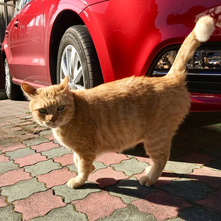 C68aef31 6cd0 4978 af6a 624496d0da91 1519631979250