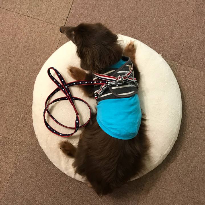 C68af1cc 60df 47d8 b60d bcd6448e9cb3 1533246887813