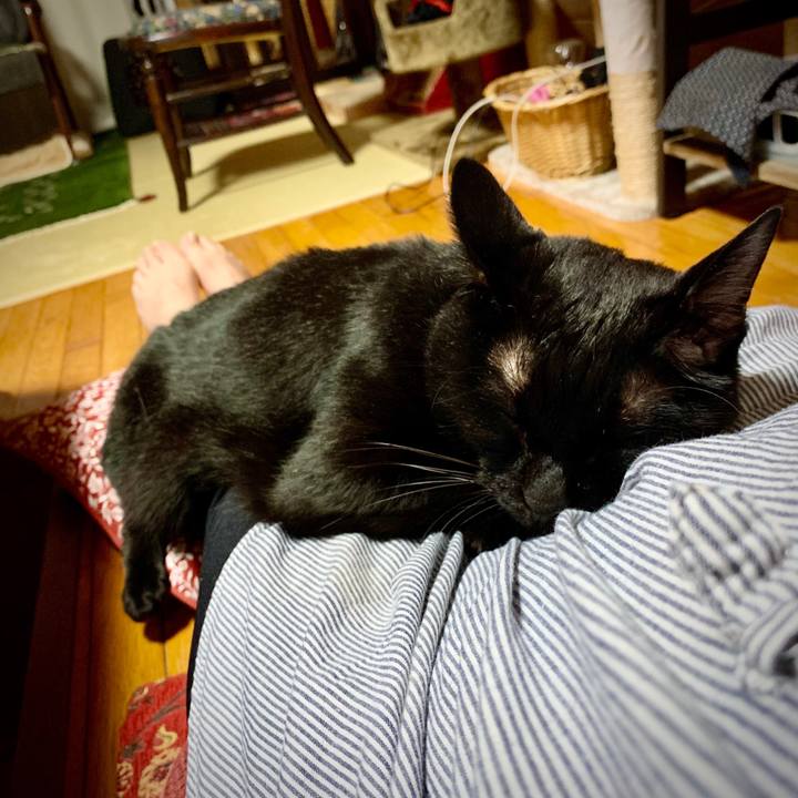 C68af275 d03f 4d6a 9ad3 abcb5c2b68a1 1601033496938