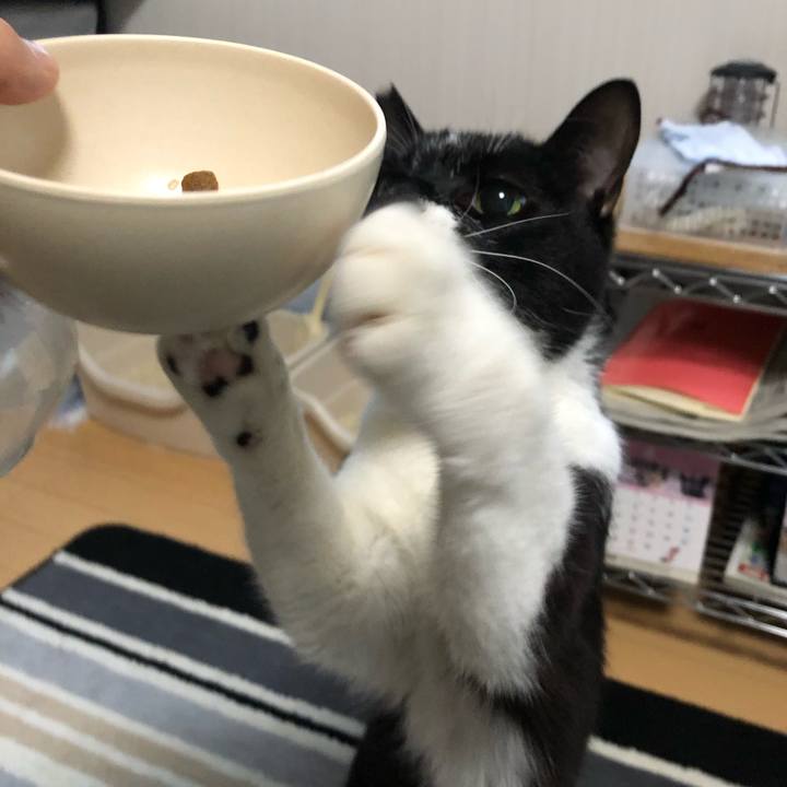 C68b040d 543a 4efd b1f0 d80e554f5a37 1590638884731