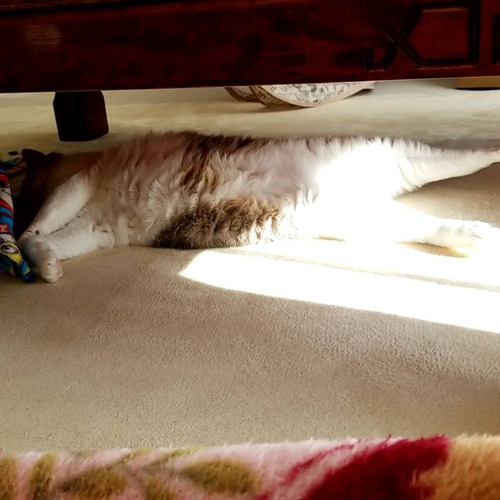 C68b0759 1a56 4a33 8fe5 842dbde96c44 1671589147802