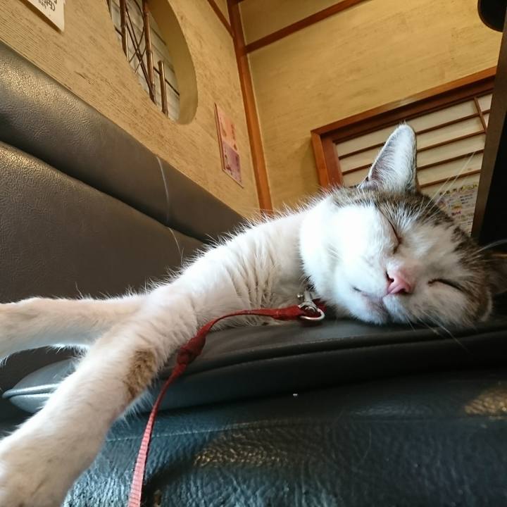 C68b308f 145e 4868 971a d6f225ff011f 1536120960352