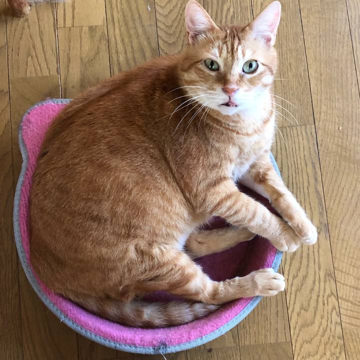 C68b4eda 319a 4e32 ac7f ecd744b4fdf7 1627590924029