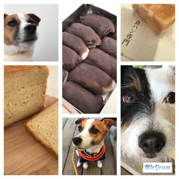 C68baee6 0ca8 4675 adf7 9aea2c52075d 1512801508987