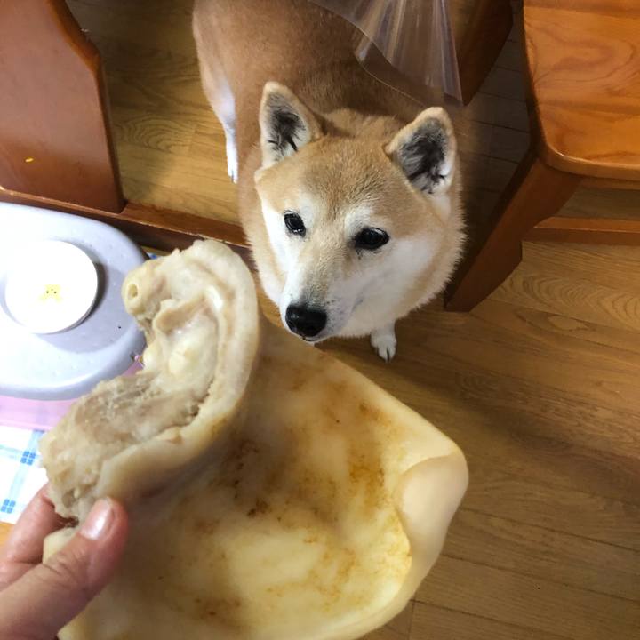 C68bb9eb 1601 4643 ae12 ee878064e828 1607690584741