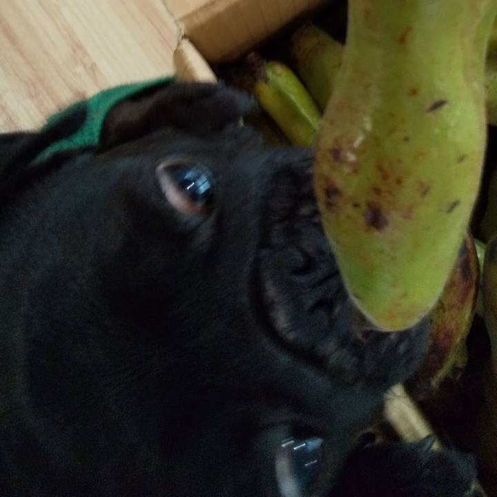 C68bf947 230c 41d9 9ce6 d9f99e4d5cfa 1588463038172