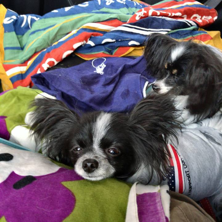 C68c2096 099a 4077 80b9 4f5ecb390f8f 1517728363488