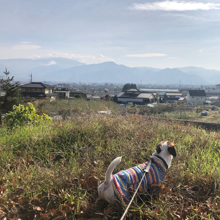 C68c40d3 b9c7 4d4e 9616 83b554fa643a 1574850824768