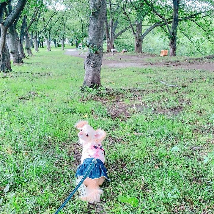 C68c4ef4 010c 4097 9b40 e9f2d88c20b7 1626251478864