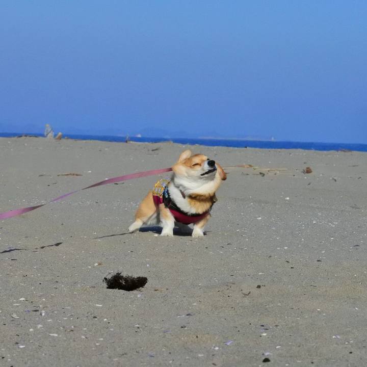 C68c7f93 fafe 421d a558 d6cbbd0308d2 1613213191401