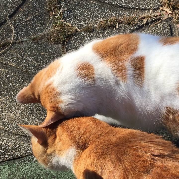 C68c8369 9ada 4119 acc1 bedbd7d5691e 1515744829986