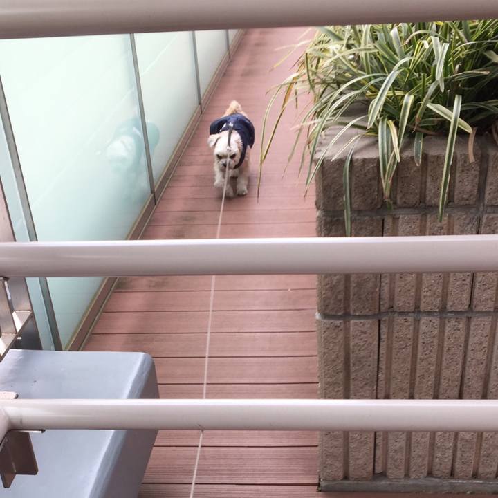 C68ccffa 620b 44f5 b32f 03c0d8bd112b 1549344949161