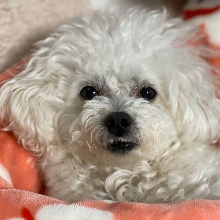 C68cda7b 5286 473b 90da 6e57693ee992 1581601917488