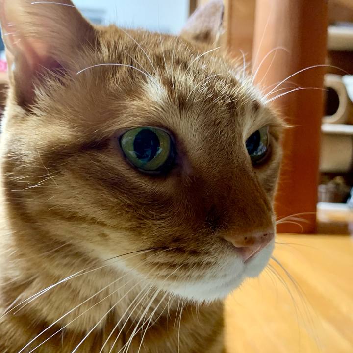 C68cf4d6 6070 4c5c a890 37355bf9e2e1 1607171656150