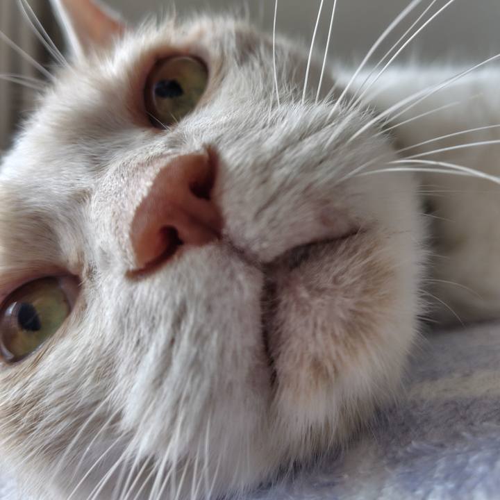 C68d4efd 7fc5 42f6 93ed 22b4d5612cac 1729906965799