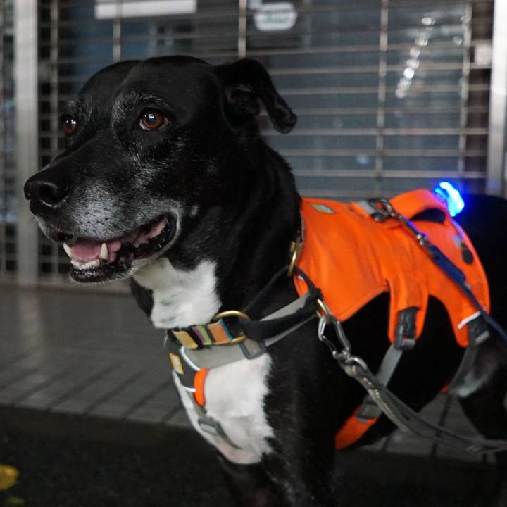 C68df6df b63f 492d 9299 d5fe44099da3 1761476887376