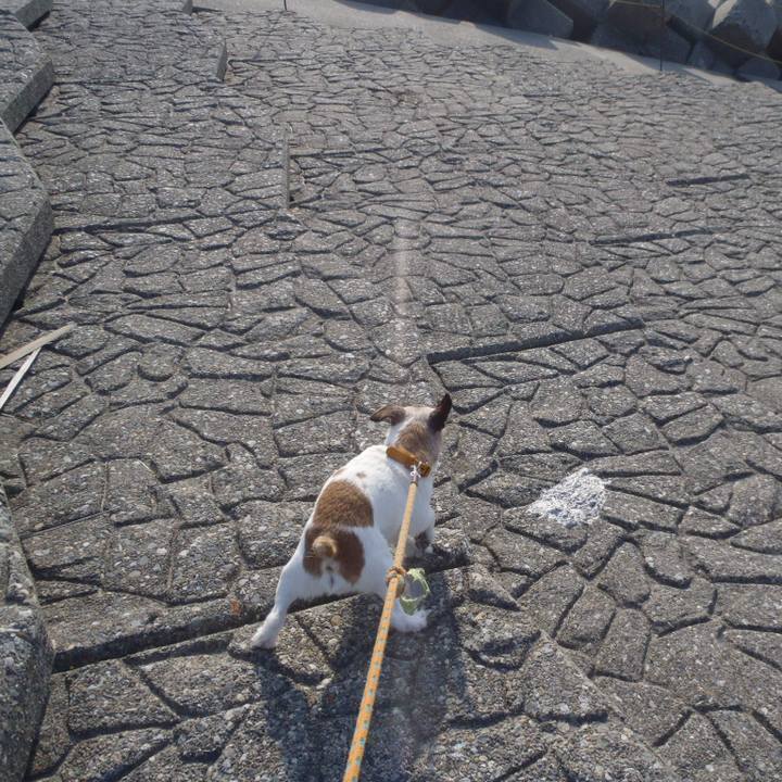 C68e1325 1db7 41a7 8cd6 db4a139e80a3 1558786817808