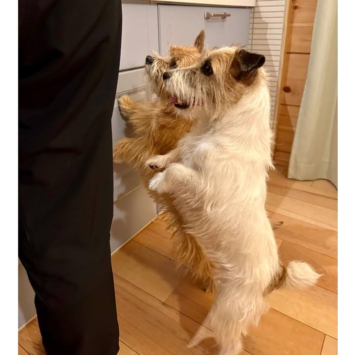 C68e22e0 64ed 41bb a95f 289d29b70df5 1738417337285