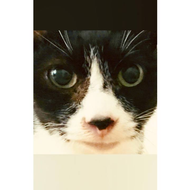 C68e4fd4 b2a5 4bec a87a e1f6cebf0bbe 1640428125427