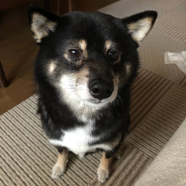 C68e793e 2853 4ed3 81c3 caeeaae4ebda 1543298422975