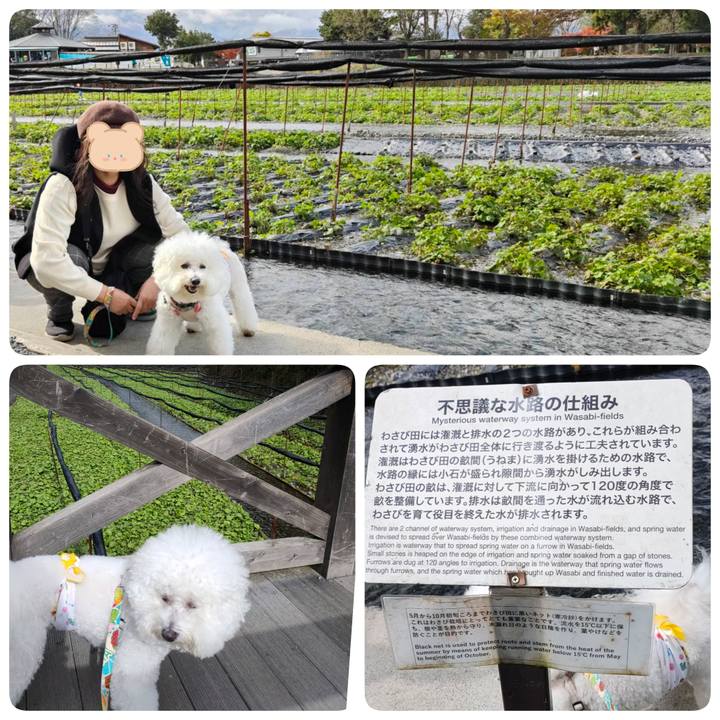 C68e7d01 2df3 45cc b326 8608764b8b2c 1763078399285