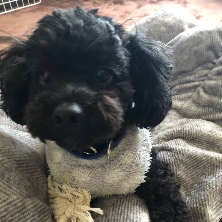 C68e9064 059f 4421 98fc 503fb5f4e600 1581215079037