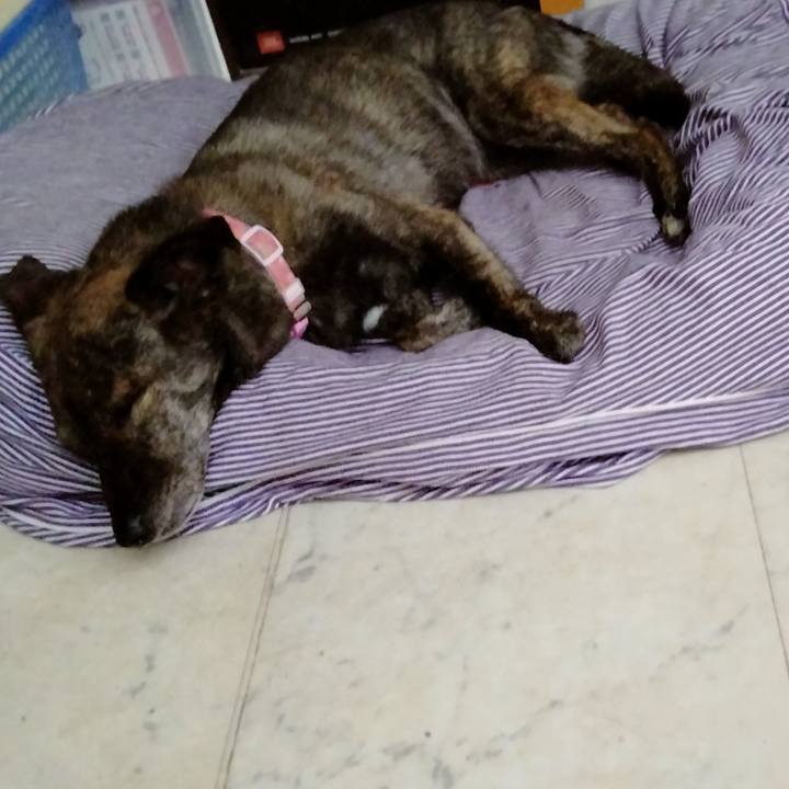 C68edcd0 cda7 4c37 85d0 c40016b3cef7 1670684131231