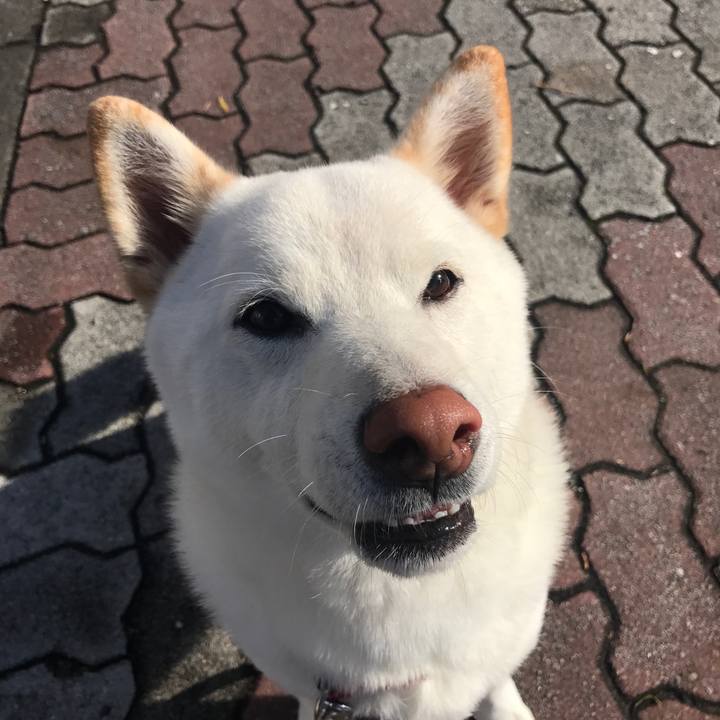 C68ef219 7fb6 4489 8e12 074436eda967 1509320070532