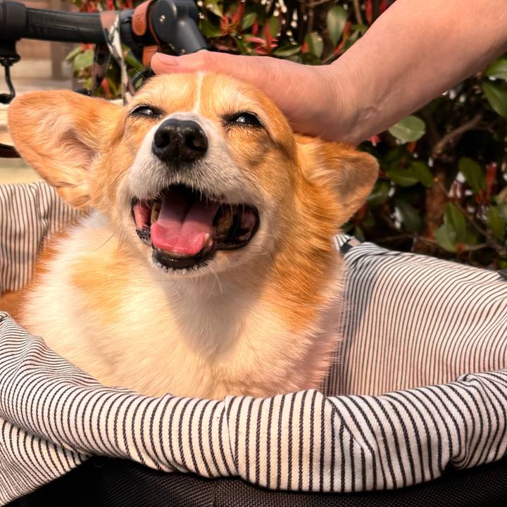 C68efbad 2eec 4985 ad94 d5e2bd2d4af6 1774228839792