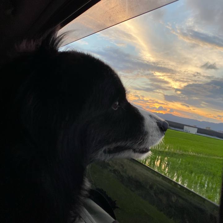 C68f0028 8edd 48e5 bf00 613f29753bc3 1721447629833