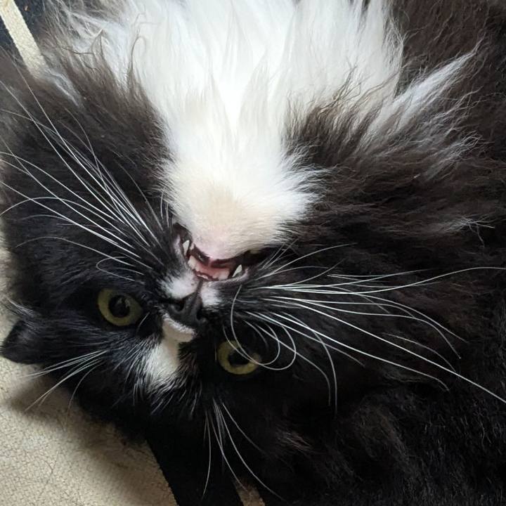 C68f23ce 1f62 42e4 8f51 b949fc9fb709 1756350193935