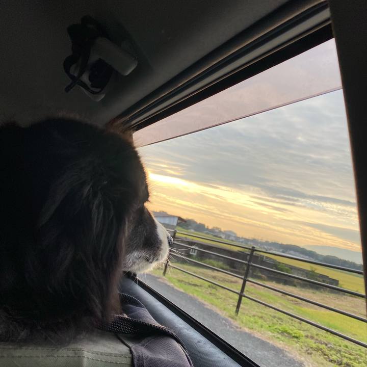 C68f6f44 875a 44df 9426 cbefc5b4acde 1663884403638