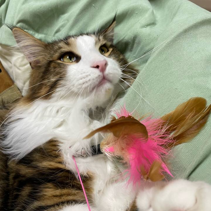 C68f922f 9190 4454 b3fe 2e66b973786b 1648465339549