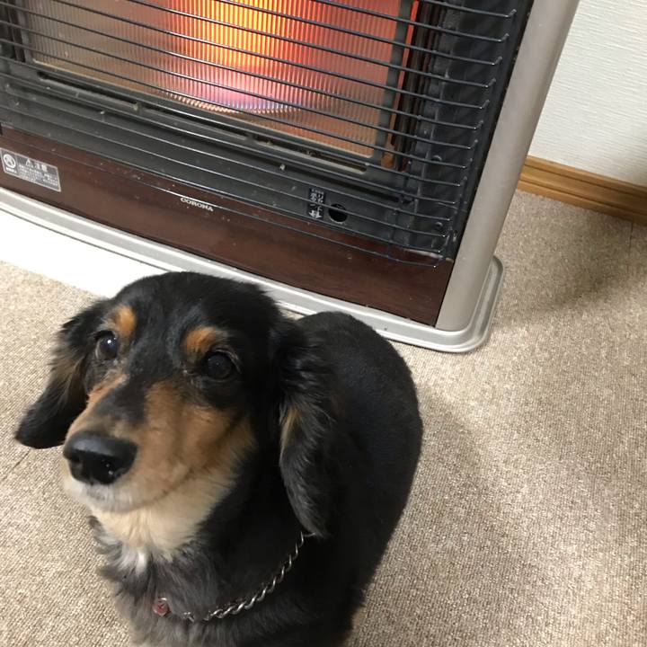 C68fab0a 7c6a 4267 a9e9 779cd858e51e 1543786594892