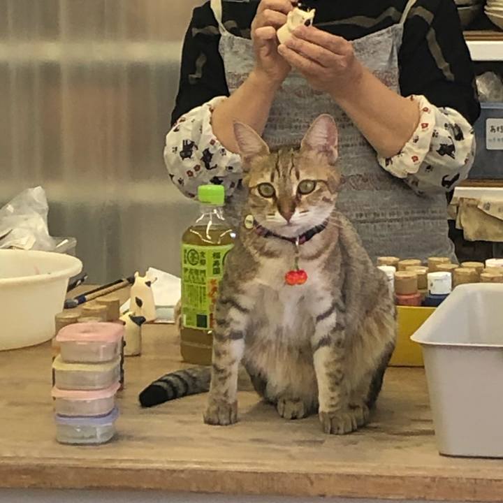 C68fb16e 666e 460f 8cac f67e50fa8c7a 1604477867035